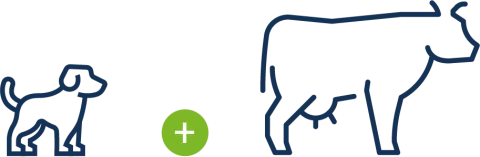 Calf-Start